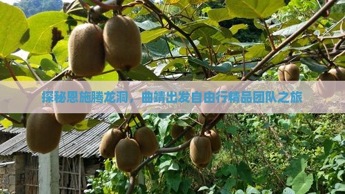 探秘恩施腾龙洞，曲靖出发自由行精品团队之旅