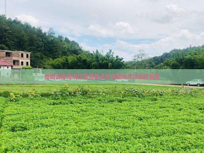岳阳去恩施清江画廊景点乘车路线与攻略及距离