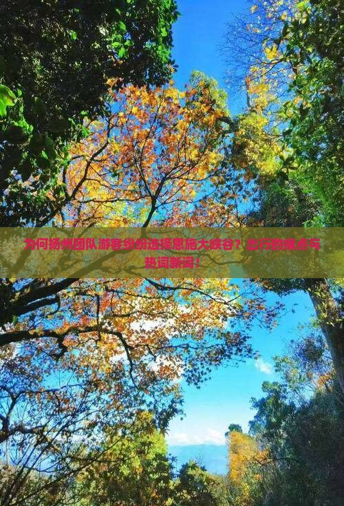 为何扬州团队游客纷纷选择恩施大峡谷？出行的痛点与热词新词！