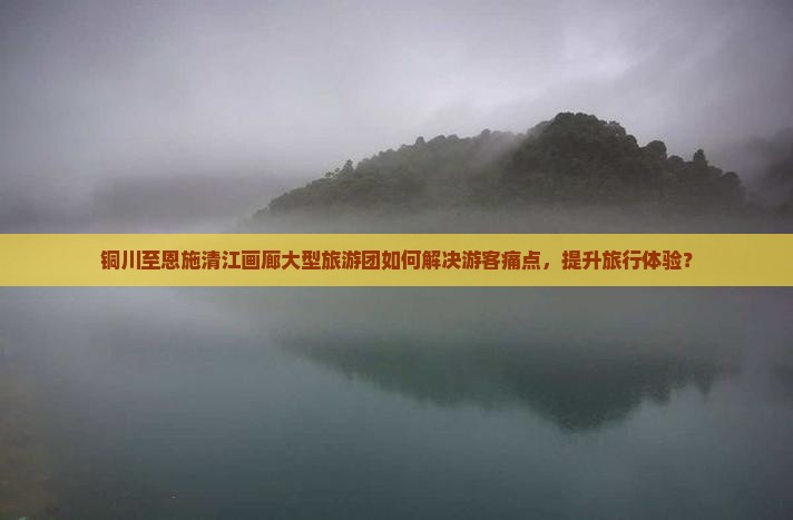 铜川至恩施清江画廊大型旅游团如何解决游客痛点，提升旅行体验？