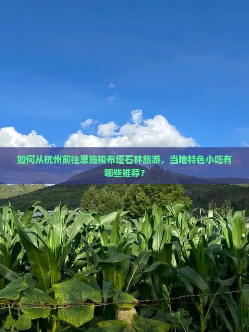 如何从杭州前往恩施梭布垭石林旅游，当地特色小吃有哪些推荐？