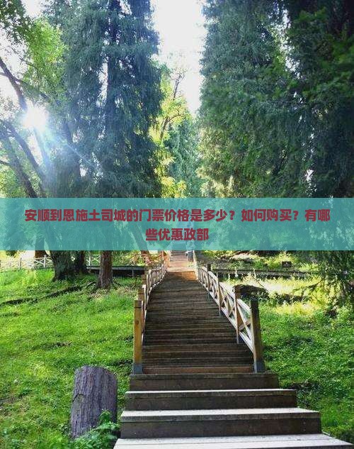安顺到恩施土司城的门票价格是多少？如何购买？有哪些优惠政部