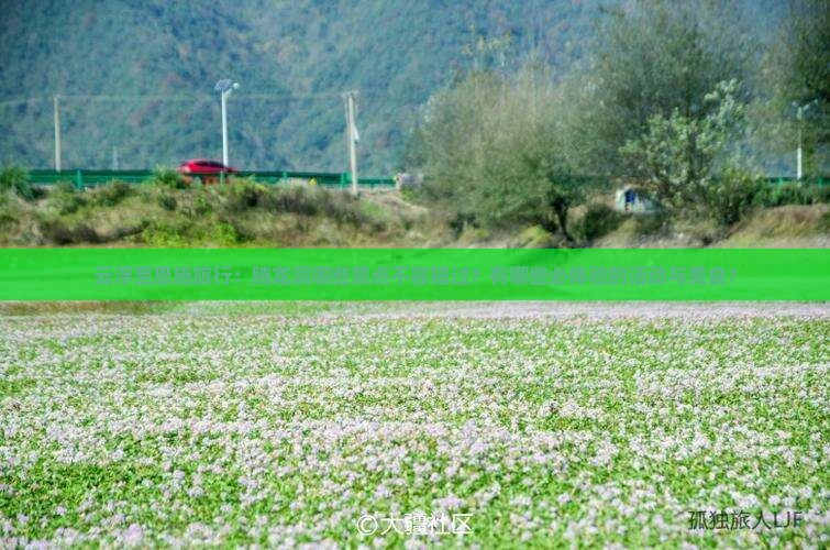 云浮至恩施旅行：腾龙洞哪些景点不容错过？有哪些必体验的活动与美食？