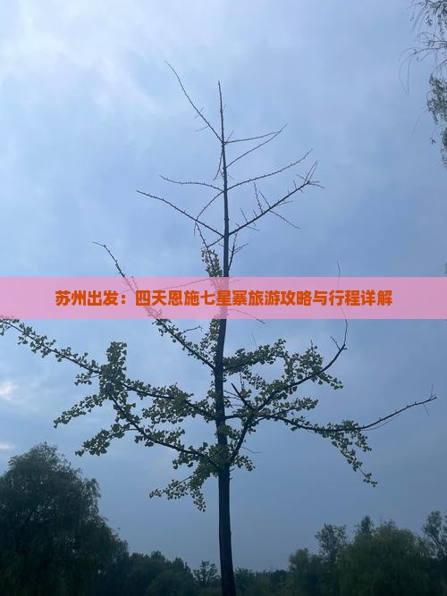 苏州出发：四天恩施七星寨旅游攻略与行程详解