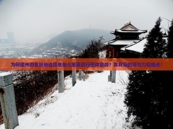 为何德州游客纷纷选择恩施七星寨进行团体旅游？其背后的吸引力和痛点！