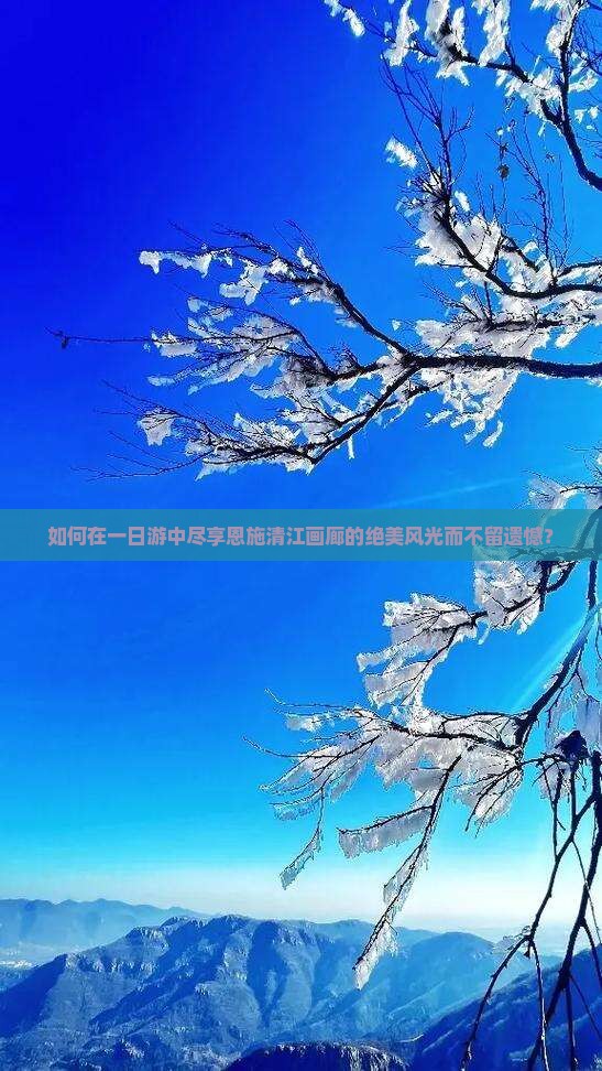 如何在一日游中尽享恩施清江画廊的绝美风光而不留遗憾？