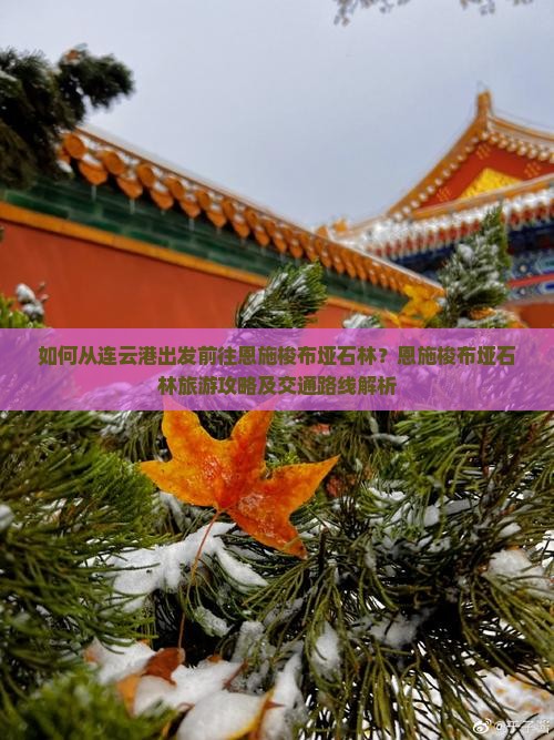 如何从连云港出发前往恩施梭布垭石林？恩施梭布垭石林旅游攻略及交通路线解析