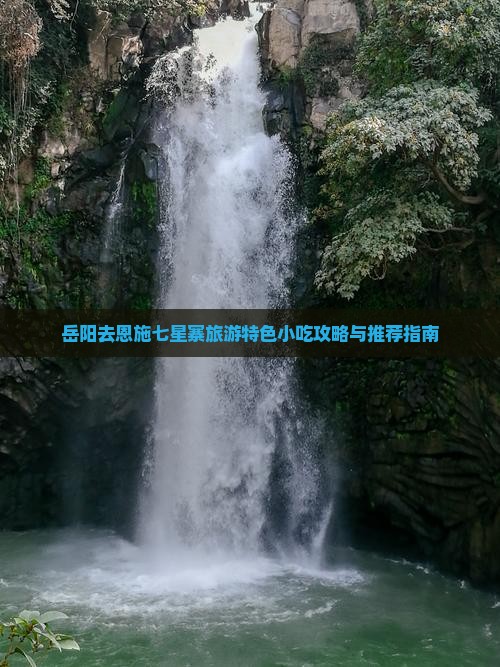 岳阳去恩施七星寨旅游特色小吃攻略与推荐指南