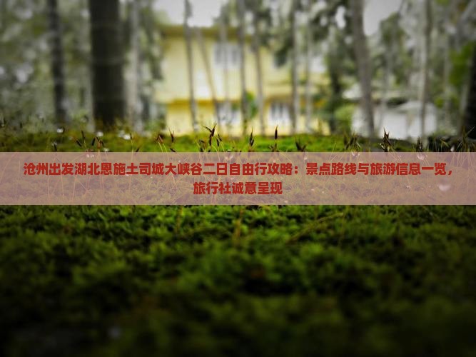 沧州出发湖北恩施土司城大峡谷二日自由行攻略：景点路线与旅游信息一览，旅行社诚意呈现