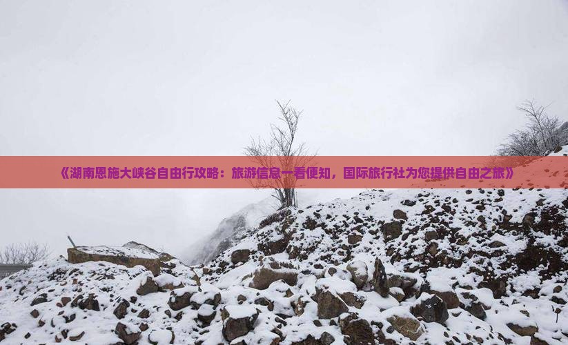 《湖南恩施大峡谷自由行攻略：旅游信息一看便知，国际旅行社为您提供自由之旅》