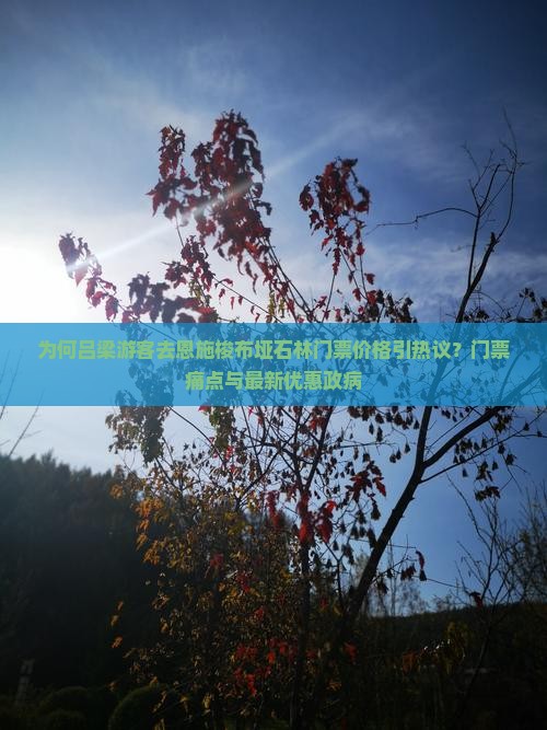 为何吕梁游客去恩施梭布垭石林门票价格引热议？门票痛点与最新优惠政病