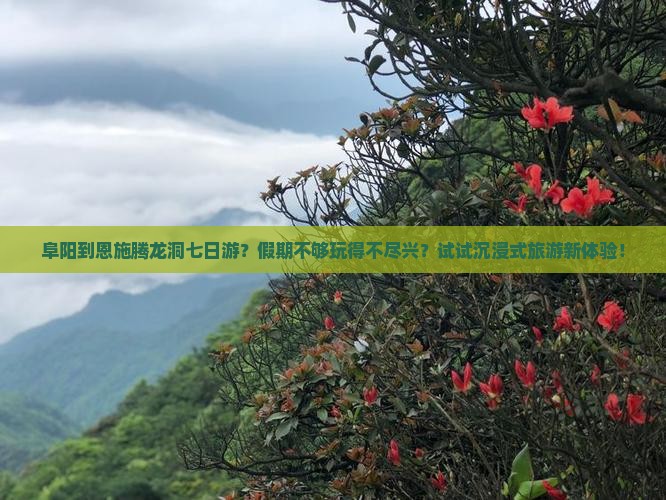 阜阳到恩施腾龙洞七日游？假期不够玩得不尽兴？试试沉浸式旅游新体验！