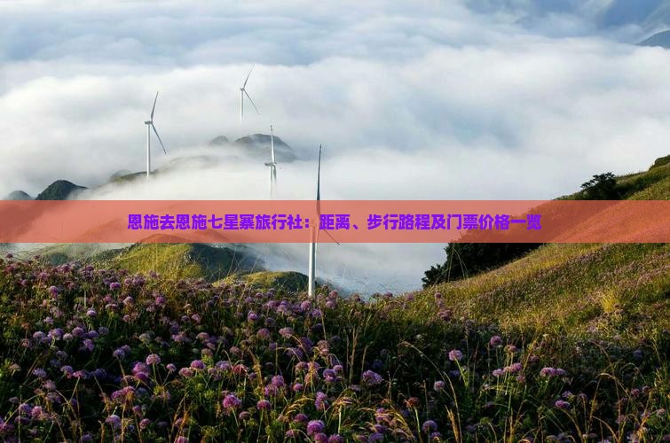 恩施去恩施七星寨旅行社：距离、步行路程及门票价格一览