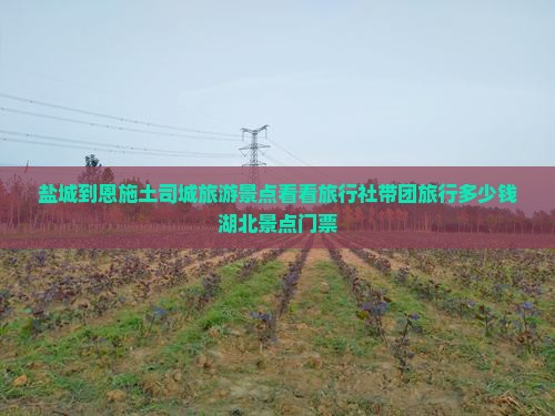 盐城到恩施土司城旅游景点看看旅行社带团旅行多少钱湖北景点门票
