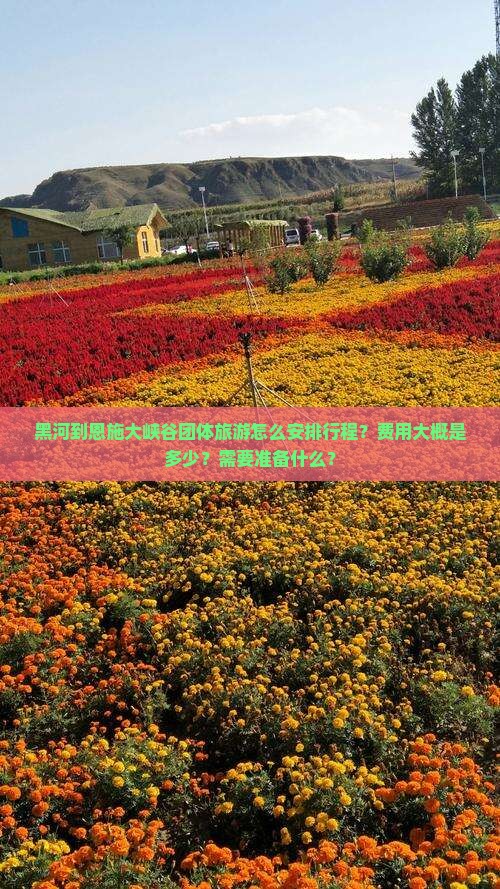 黑河到恩施大峡谷团体旅游怎么安排行程？费用大概是多少？需要准备什么？