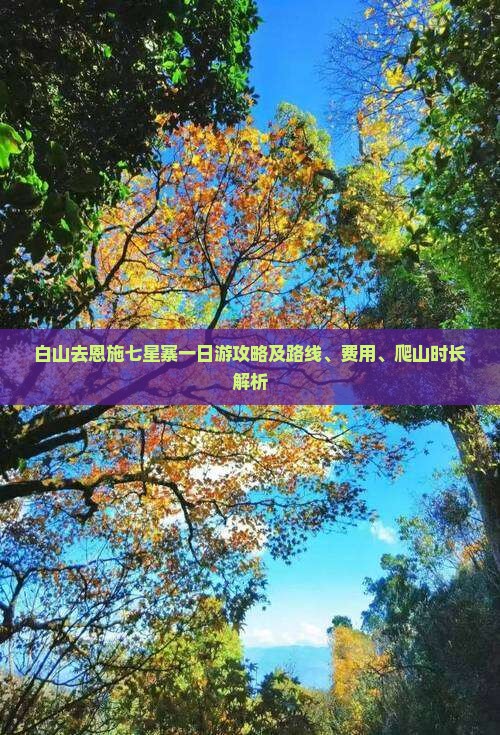 白山去恩施七星寨一日游攻略及路线、费用、爬山时长解析