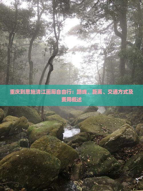 重庆到恩施清江画廊自由行：路线、距离、交通方式及费用概述