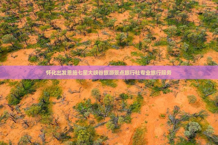 怀化出发恩施七星大峡谷旅游景点旅行社专业旅行服务