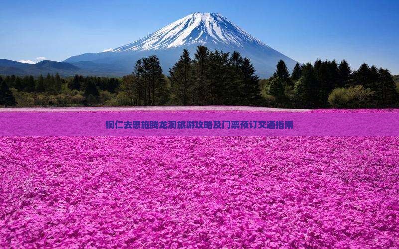 铜仁去恩施腾龙洞旅游攻略及门票预订交通指南