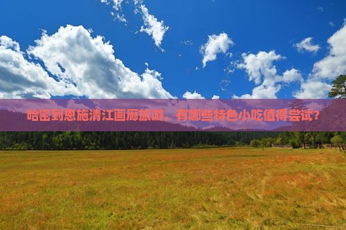 哈密到恩施清江画廊旅游，有哪些特色小吃值得尝试？