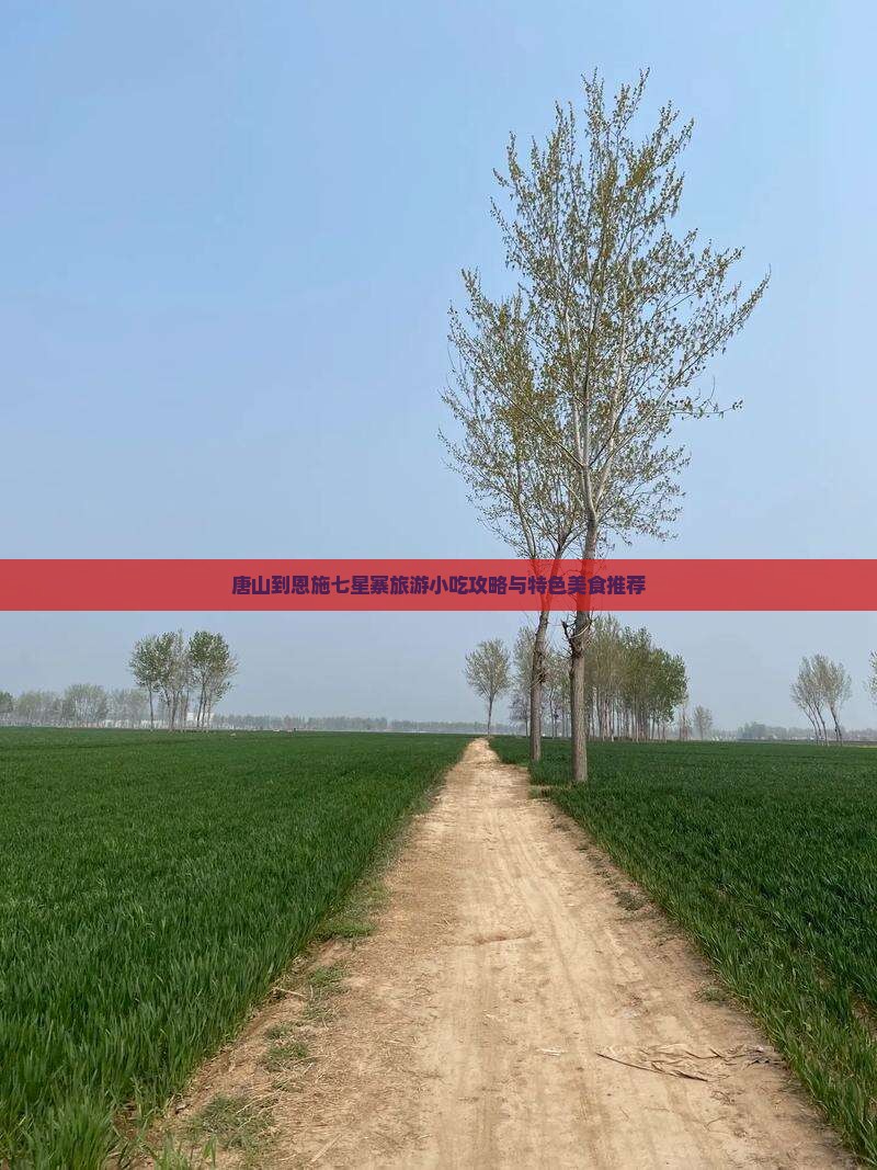 唐山到恩施七星寨旅游小吃攻略与特色美食推荐