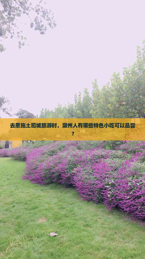 去恩施土司城旅游时，滁州人有哪些特色小吃可以品尝？