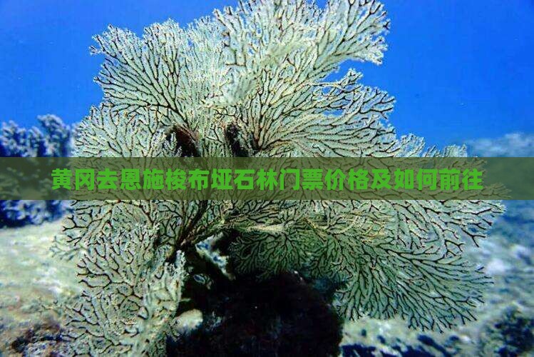 黄冈去恩施梭布垭石林门票价格及如何前往