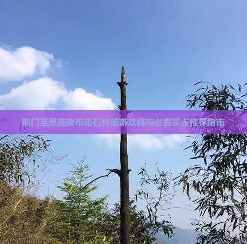 荆门至恩施梭布垭石林旅游攻略与必去景点推荐指南