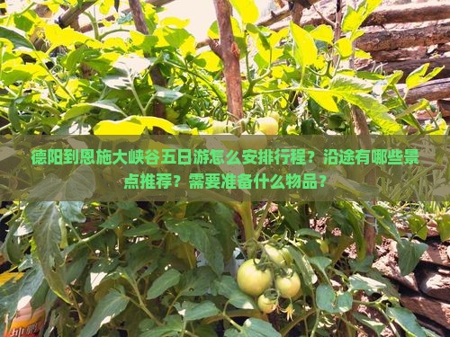 德阳到恩施大峡谷五日游怎么安排行程？沿途有哪些景点推荐？需要准备什么物品？