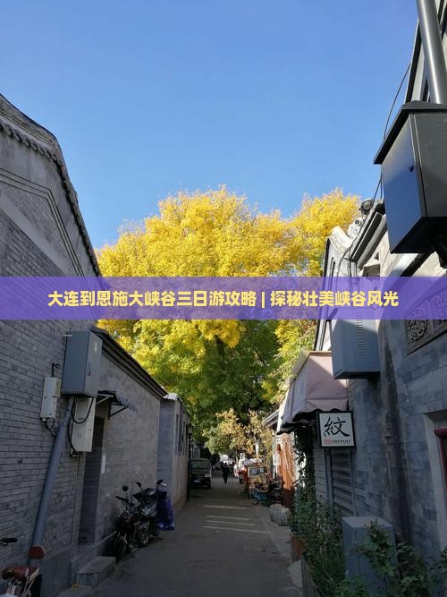 大连到恩施大峡谷三日游攻略 | 探秘壮美峡谷风光