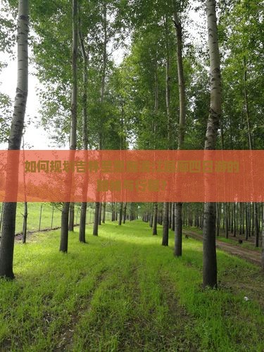 如何规划吉林至恩施清江画廊四日游的路线与行程？