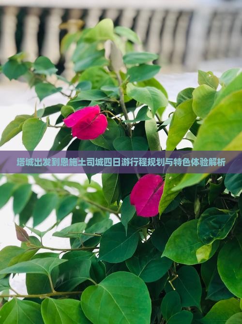 塔城出发到恩施土司城四日游行程规划与特色体验解析