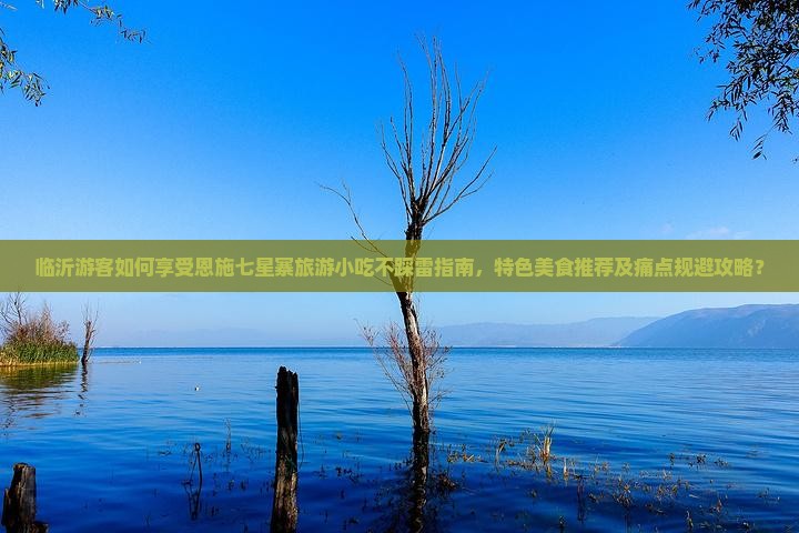 临沂游客如何享受恩施七星寨旅游小吃不踩雷指南，特色美食推荐及痛点规避攻略？