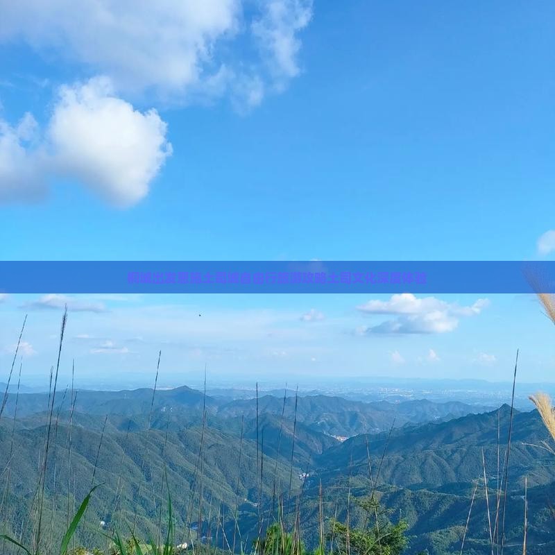 桐城出发恩施土司城自由行旅游攻略土司文化深度体验