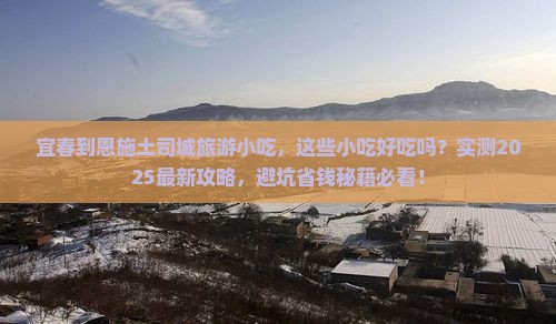 宜春到恩施土司城旅游小吃