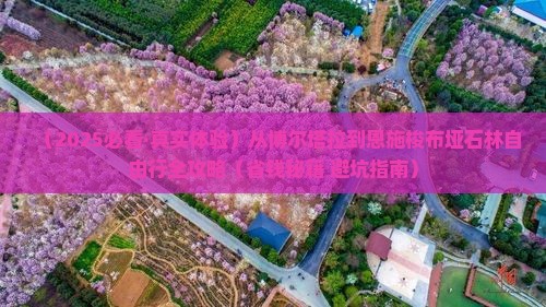 博尔塔拉到恩施梭布垭石林旅游
