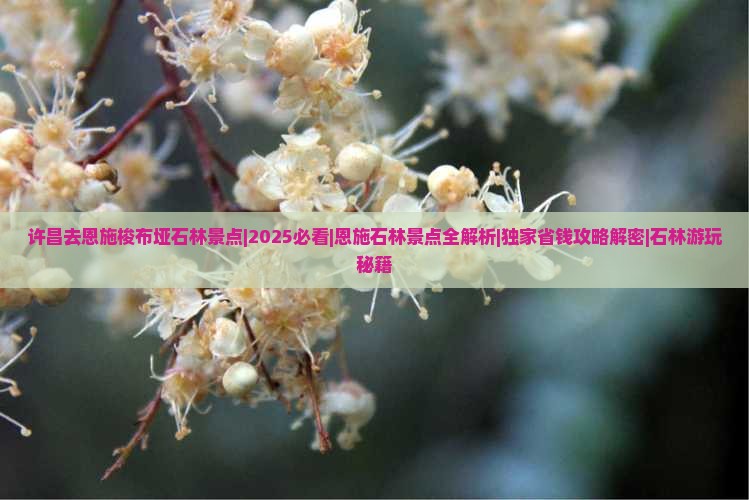 许昌去恩施梭布垭石林景点