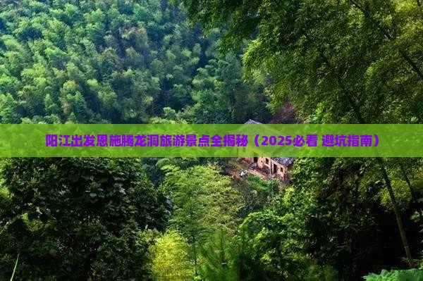 阳江到恩施腾龙洞自由团