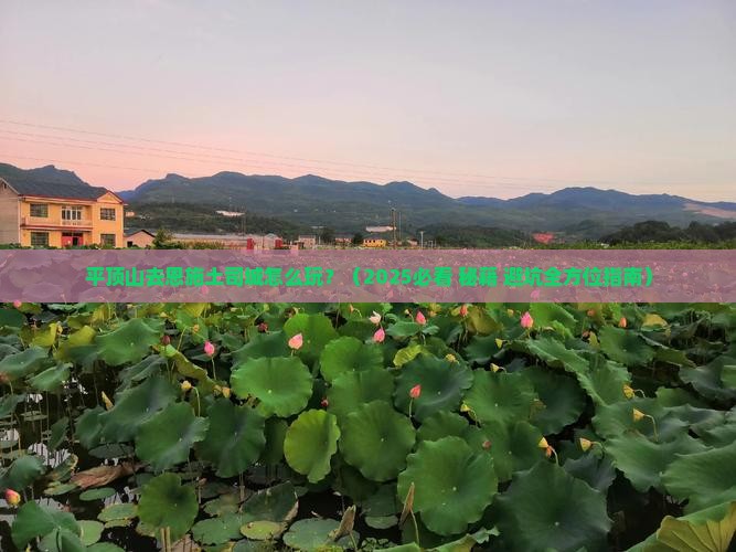 平顶山去恩施土司城哪里玩