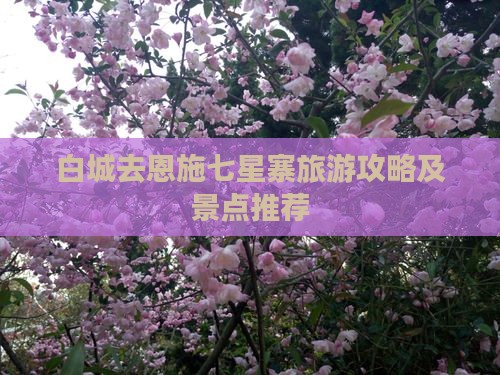 白城去恩施七星寨自由行