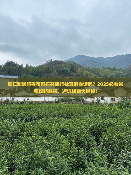 铜仁到恩施梭布垭石林旅行社