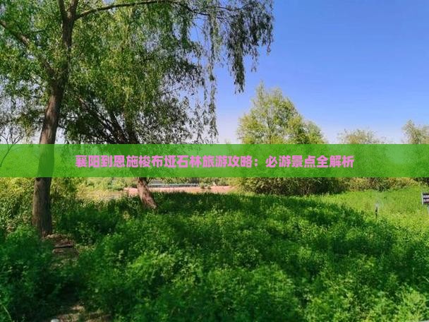 襄樊到恩施梭布垭石林旅游