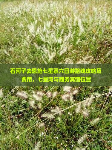 石河子去恩施七星寨六日游