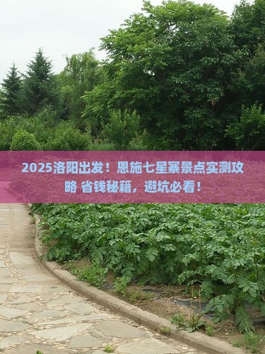 洛阳到恩施七星寨景点