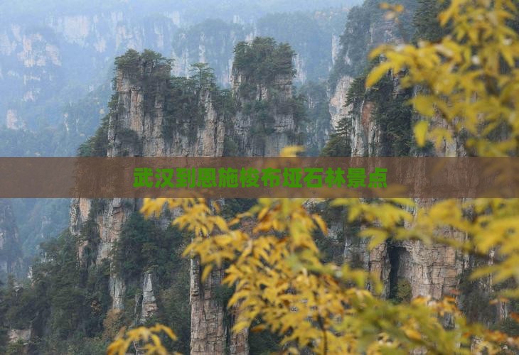 武汉到恩施梭布垭石林景点