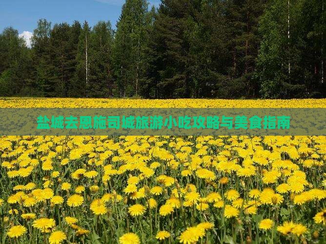 盐城去恩施土司城旅游小吃