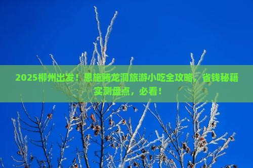 柳州去恩施腾龙洞旅游小吃