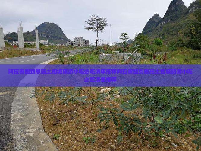 阿拉善盟到恩施土司城旅游小吃