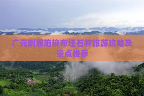 广元到恩施梭布垭石林一日