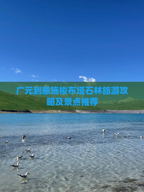 广元到恩施梭布垭石林一日